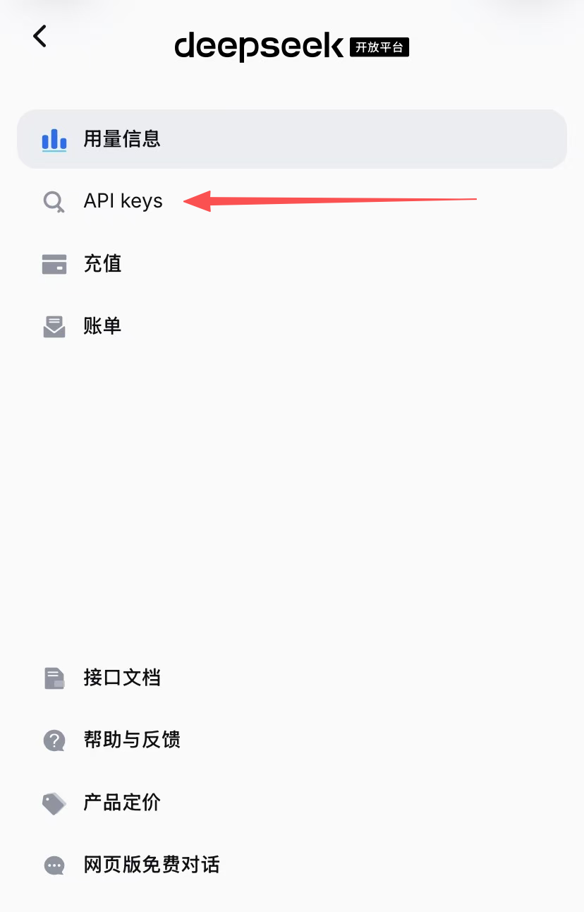 DeepSeek API Keys 页面与创建入口